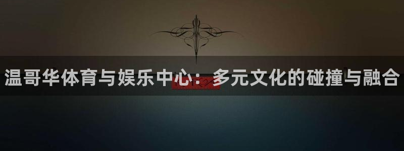 海南3377体育官网下载:温哥华体育与娱乐中心:多元文化的碰