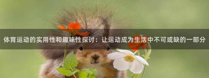 3377体育官网下载平台是正规平台吗安全吗:体育运动的实用性