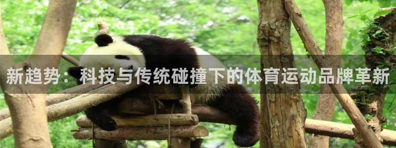 3377体育官方正版app娱乐:新趋势:科技与传统碰撞下的体