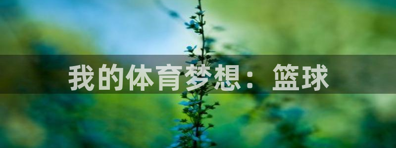 3377体育官网下载招商电话:我的体育梦想:篮球